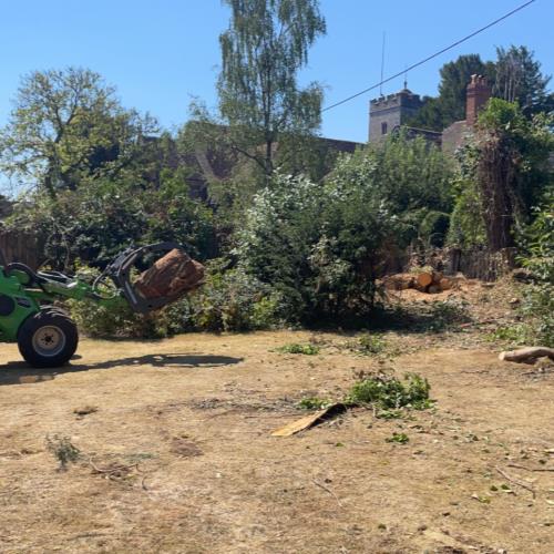 avant machine timber removal