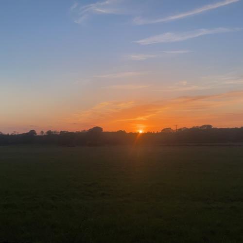 beautiful sunrise for tree work