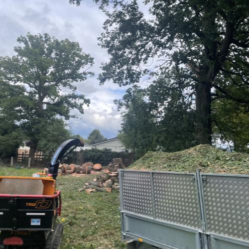 chipping and logging services