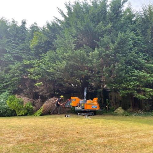 garden maintenane with chipper