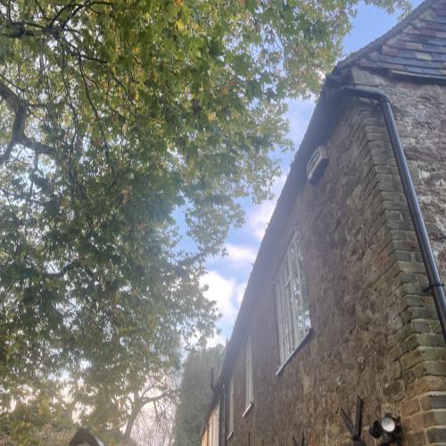 london plane reduction