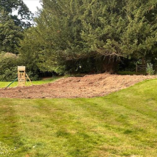 rhododendrum bush removal after