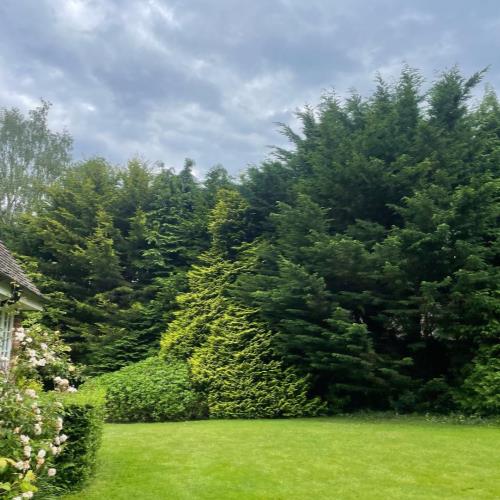 we maintain gardens